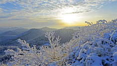 武陵山國家森林公園銀裝素裹