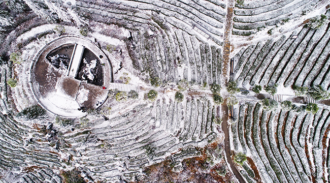 航拍重慶酉陽3000畝茶山落雪