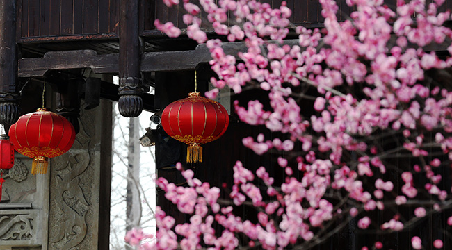 重慶黔江：古鎮燈籠喜迎春