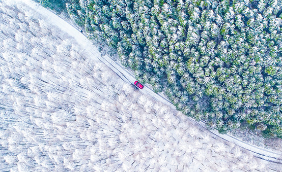 航拍：瓊花盡落山王坪 人間無處不飛花