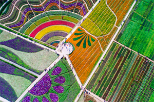 航拍重慶奇彩夢園 陽春三月芳菲無窮美