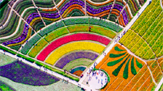 重慶奇彩夢園絢爛如童話世界