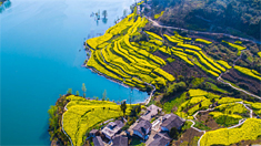 重慶阿蓬江 半江春色半江水