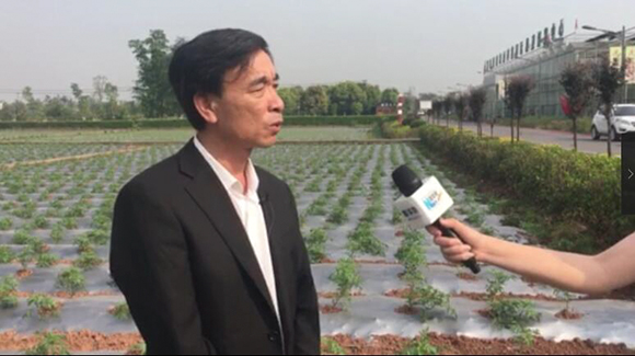 村支書鄭長春介紹全村産業發展情況