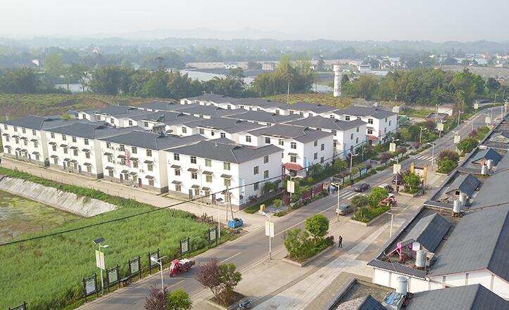 &ldquo;西部菜都&rdquo;的鄉村振興縮影