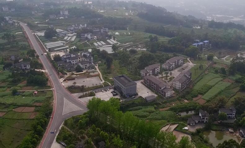 航拍永川黃瓜山片區 梨樹開花開出新生活