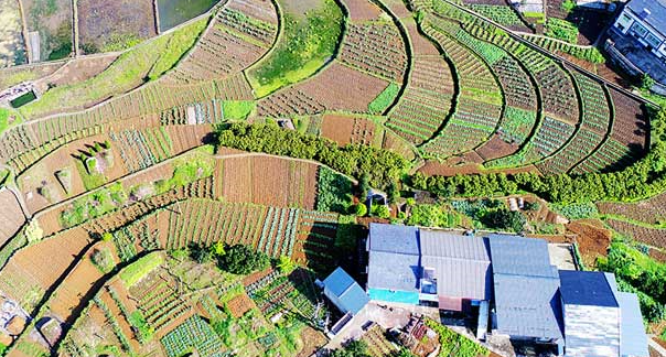 重慶萬盛青年鎮800余畝梯田孕育春苗 煥發生機