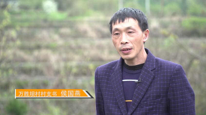 萬勝壩村村支書候國燕介紹村子産業情況