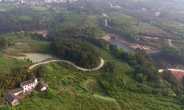 航拍永川黃瓜山梨園