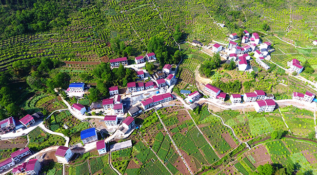 航拍三峽腹地美麗鄉村 紅瓦白墻繞青山