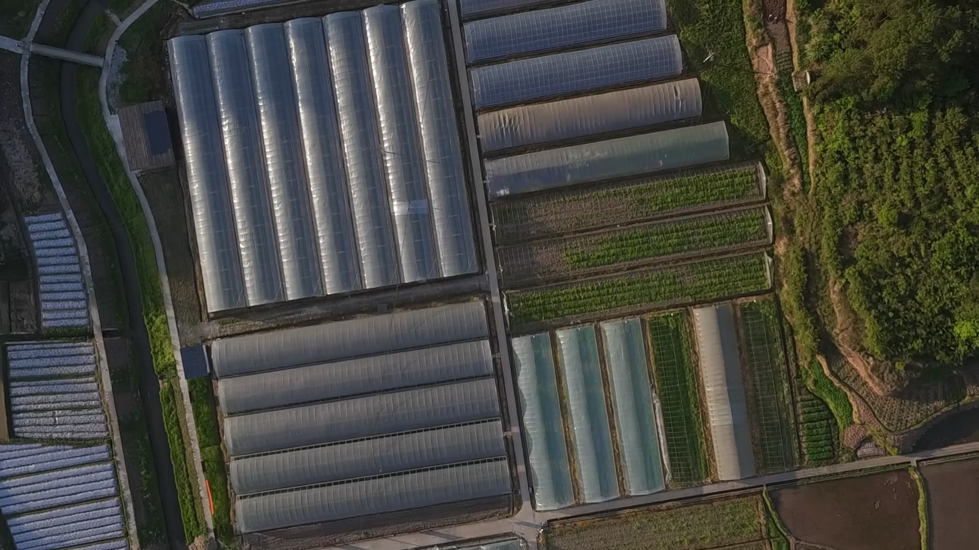 鳥瞰騰春蔬菜專業合作社300畝大棚蔬菜園地