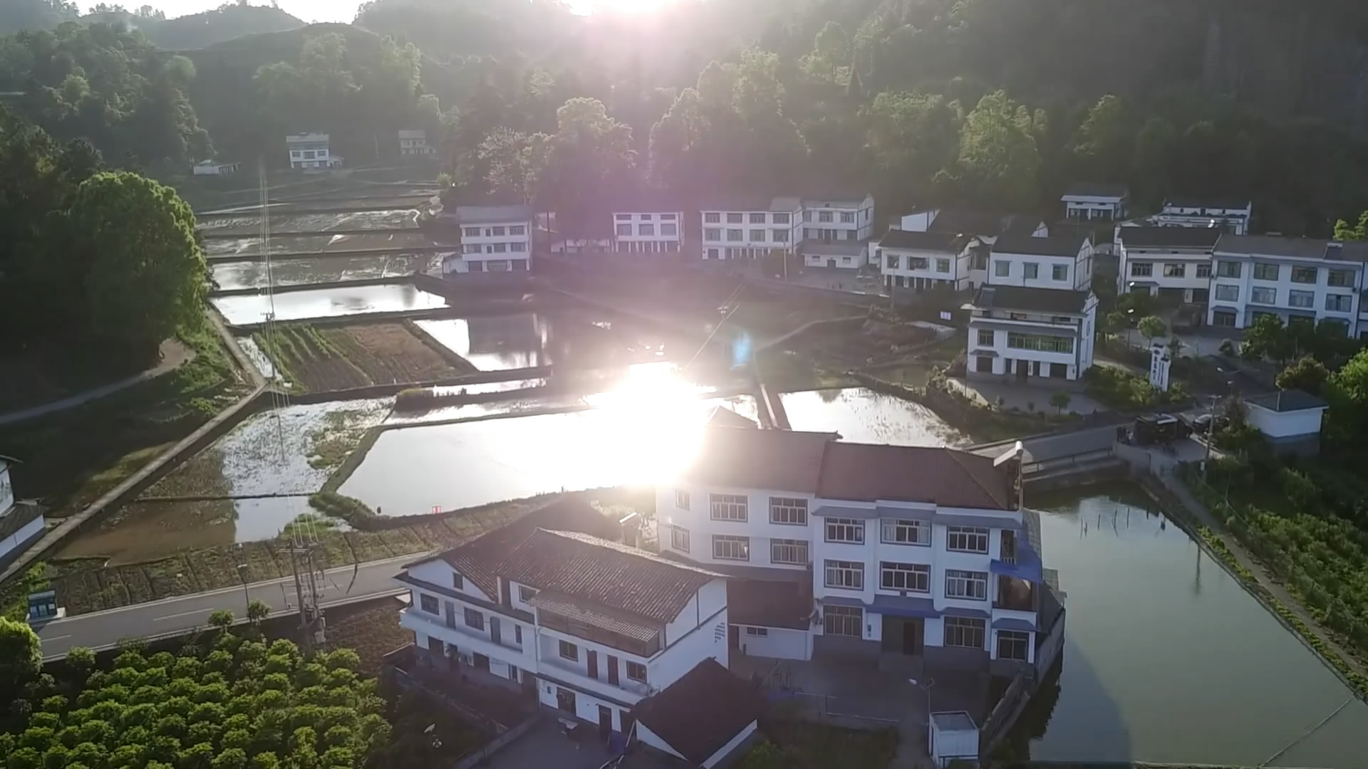 新華鷹帶你鳥瞰金龍村