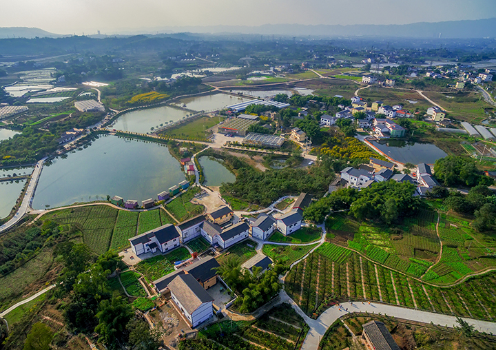 【航拍】真武宮村全景