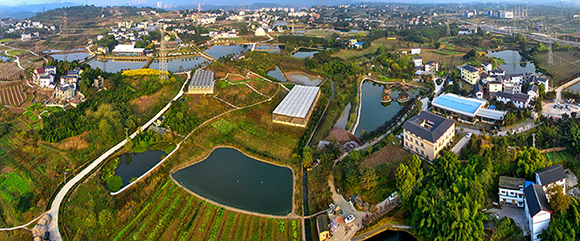 【航拍】真武宮村展現和諧風尚之美