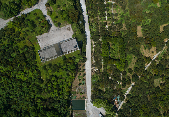 新華鷹航拍涪陵睦和村千畝果樹林