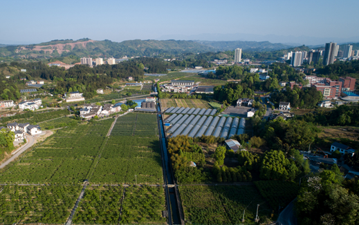 金佛山下歸園田居 &ldquo;凈&rdquo;顯鄉村&ldquo;顏值&rdquo;