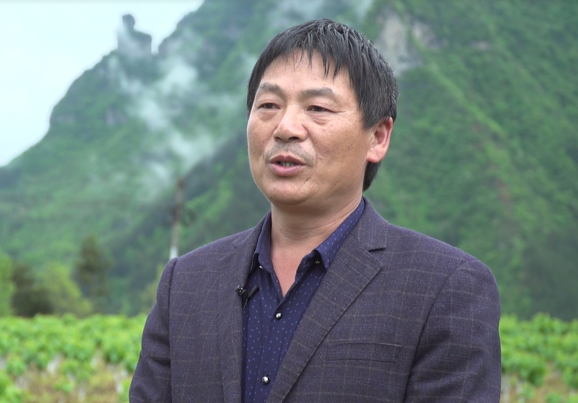 【採訪】重慶市黔江區嫣鬟農業股份合作社監事長龐一文