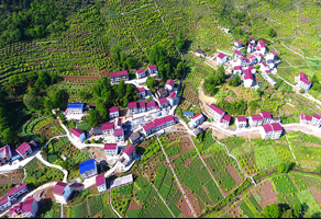 滿目春風氣象新 新時代的巴渝鄉村新畫卷