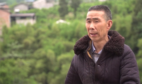 齊聖村五保戶黃兆富每年靠賣柑橘還有不少收入