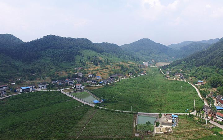 城市資本激活北碚鄉村振興一池春水