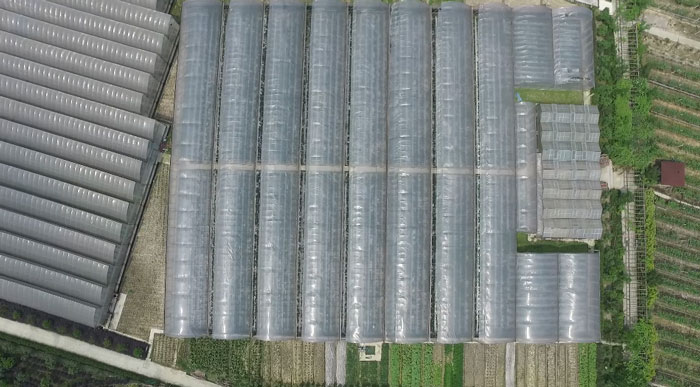 航拍北碚虎頭村現代生態觀光農業園