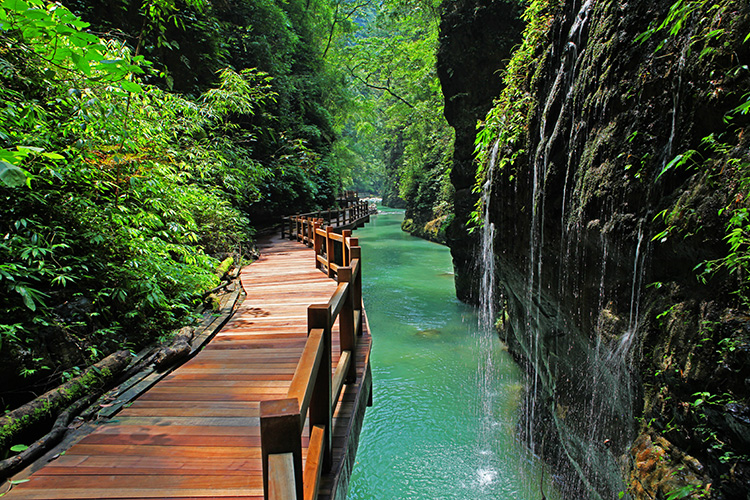 新华网重庆旅游频道