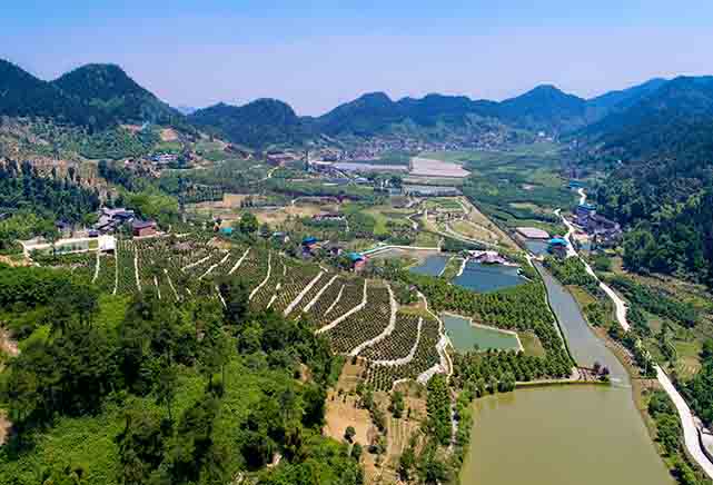 打造现代化农业园 吸引人才返乡就业创业