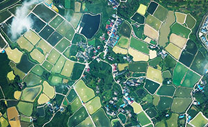 航拍梁平川西村：半畝方塘翠 千頃稻田棋