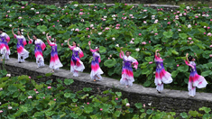 重慶土家十三寨上演與荷共舞