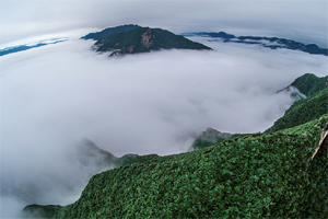 航拍瞿塘峽破曉雲海 赤甲峰如&ldquo;海中小島&rdquo;