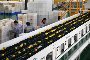 【沸點】現代農業的&ldquo;潼南邏輯&rdquo;