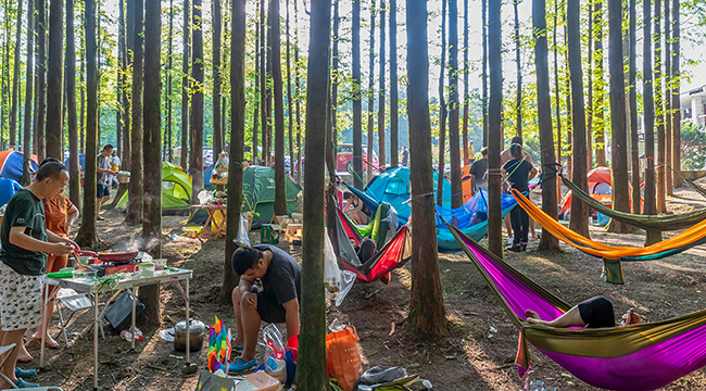 舉家&ldquo;住&rdquo;進森林 重慶市民樂享生態避暑