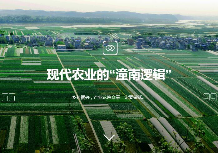 现代农业的&ldquo;潼南逻辑&rdquo;