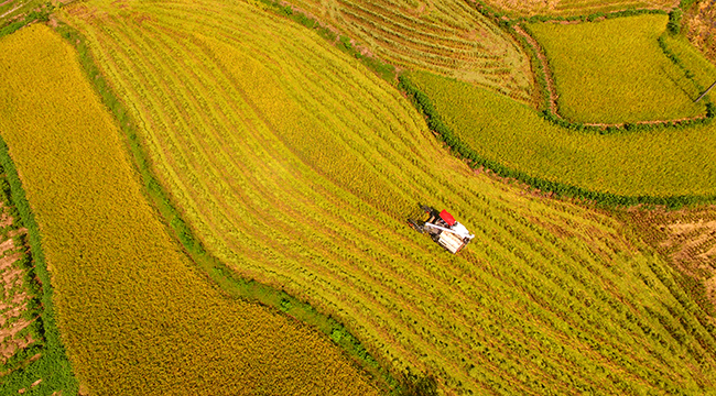 航拍山城重慶曬秋景象