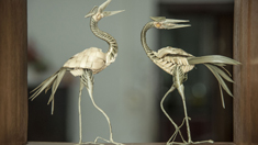 探訪重慶酉陽傳統技藝棕編