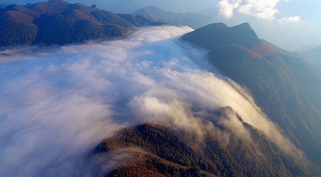 無人機航拍秋日紅池壩 秋染群山雲海如瀑