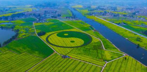 &ldquo;西部菜都&rdquo;的智能化轉型