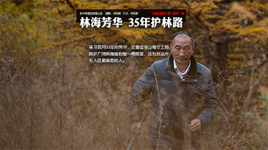 林海芳華 35年護林路