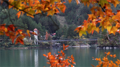 初冬時節黔江小南海&ldquo;楓&rdquo;景如畫