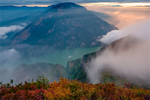 又到紅葉漫三峽