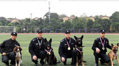 重慶警犬技術團隊斬獲全國大獎