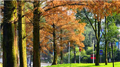 重慶綦江古劍山冬日美景醉遊人