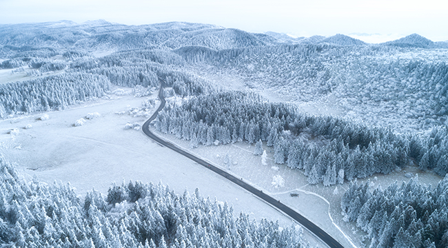 &ldquo;飞阅&rdquo;重庆：雪落仙女山 如童话世界