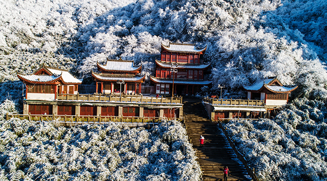 &ldquo;飛閱&rdquo;金佛山：天上飛瓊萬花落 地上白雪覆大川