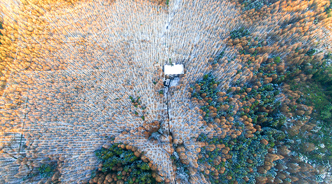 航拍山王坪：四十年植树造林造出万亩&ldquo;森林梯田&rdquo;