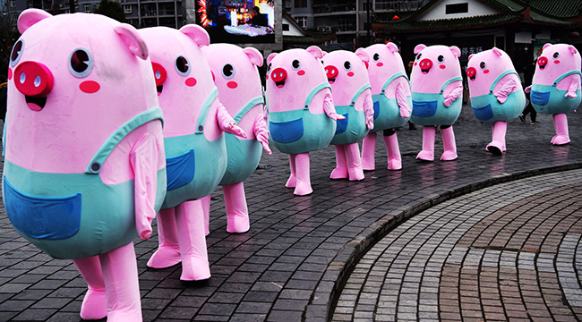 &ldquo;豬寶寶&rdquo;迎新春