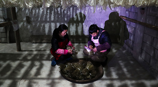 【新春走基層】趕制苕粉過大年