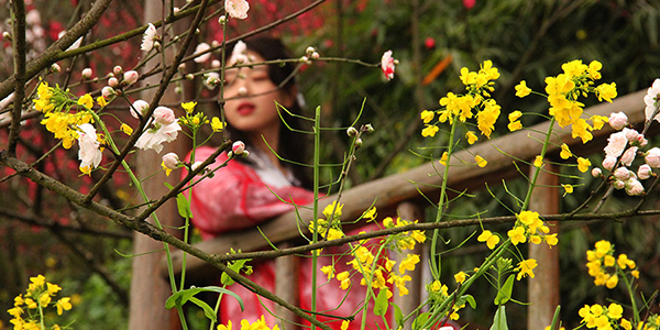 重庆：桃花盛开 踏青赏花到南山