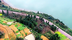 重慶萬盛：板遼湖畔春色舒畫卷