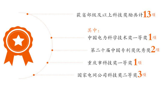 科技创新项目获奖情况